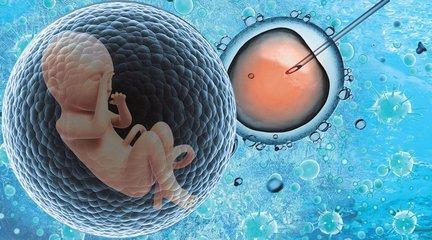 胚胎实验室